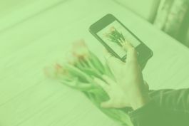 Instagram Shopping (para eCommerce)