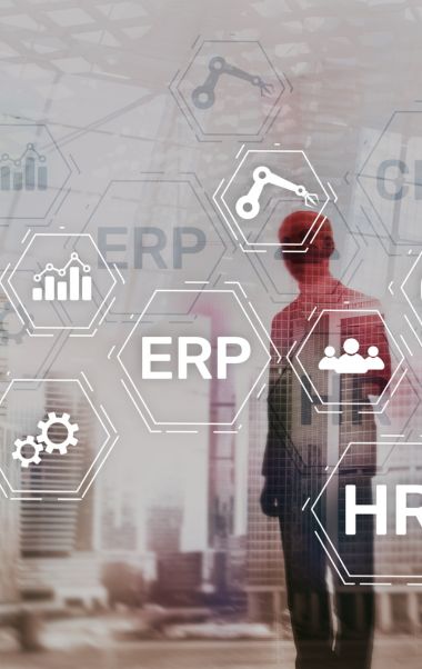 omnia soluciones - servicio desarrollo erp a medida