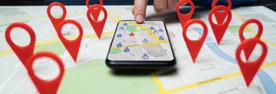 servicios seo local